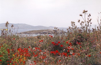 Grece_2002