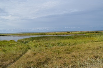 photo10