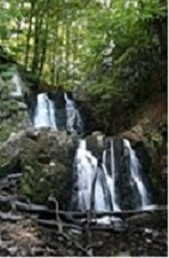 photo26